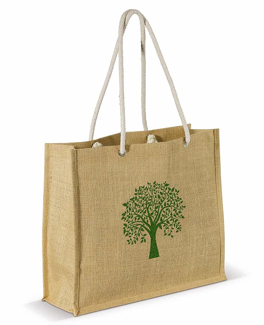 reusable grocery bag