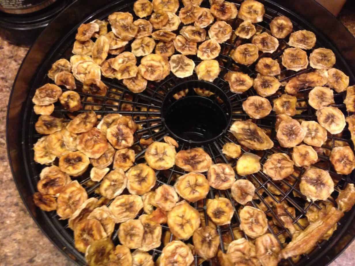 Food Preservation - Dehydrated Banana Chips