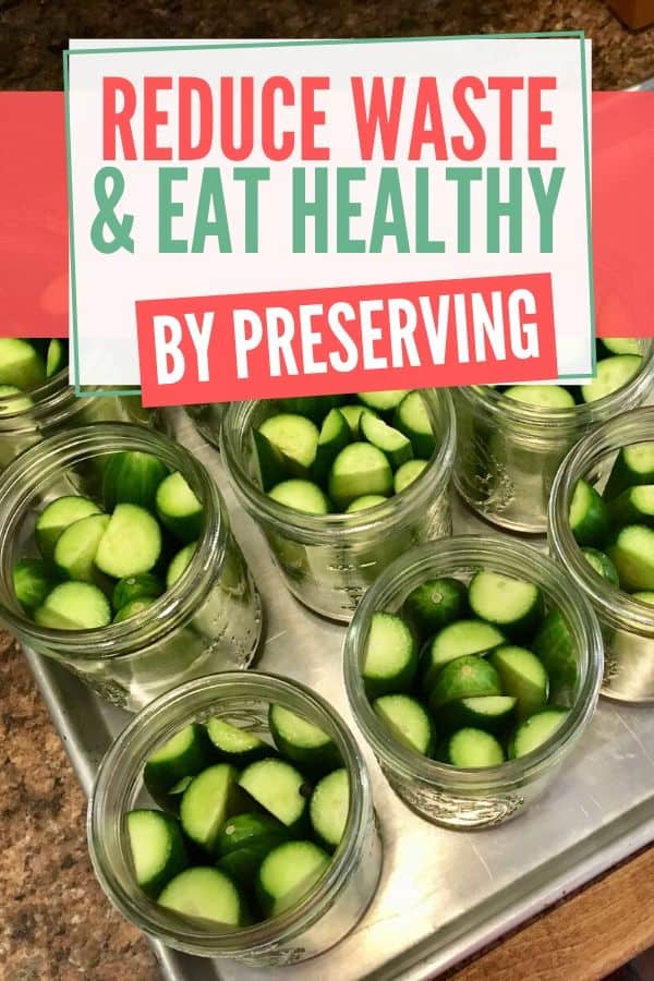 Reduce waste and eat healthy with Food Preservation_Pinterest