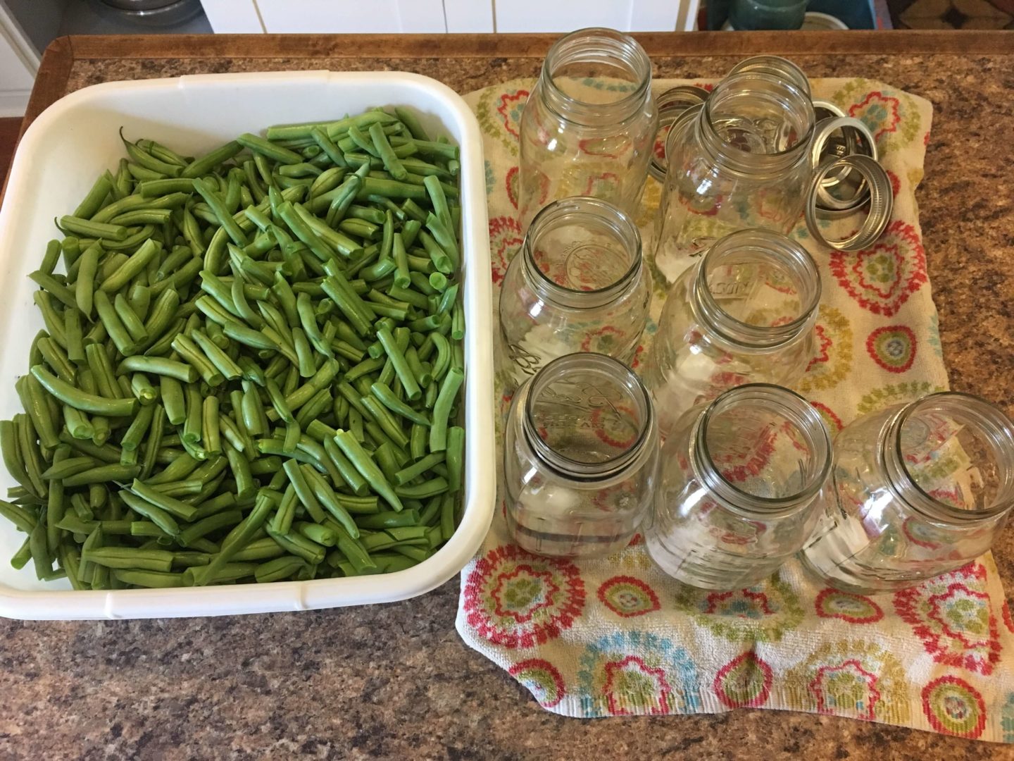 Food Preservation - Preserving Green Beans
