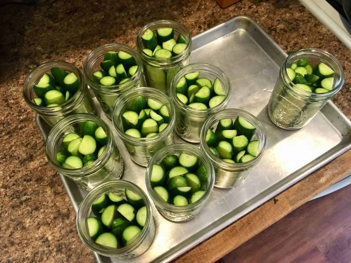 Food preservation - Preserving Pickles