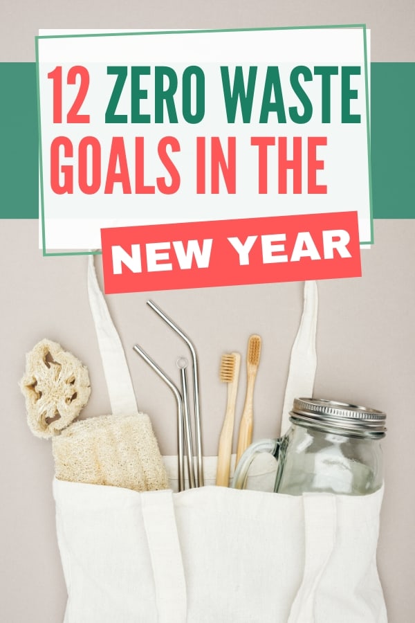 12 Zero Waste Goals in the New Year_Pinterest