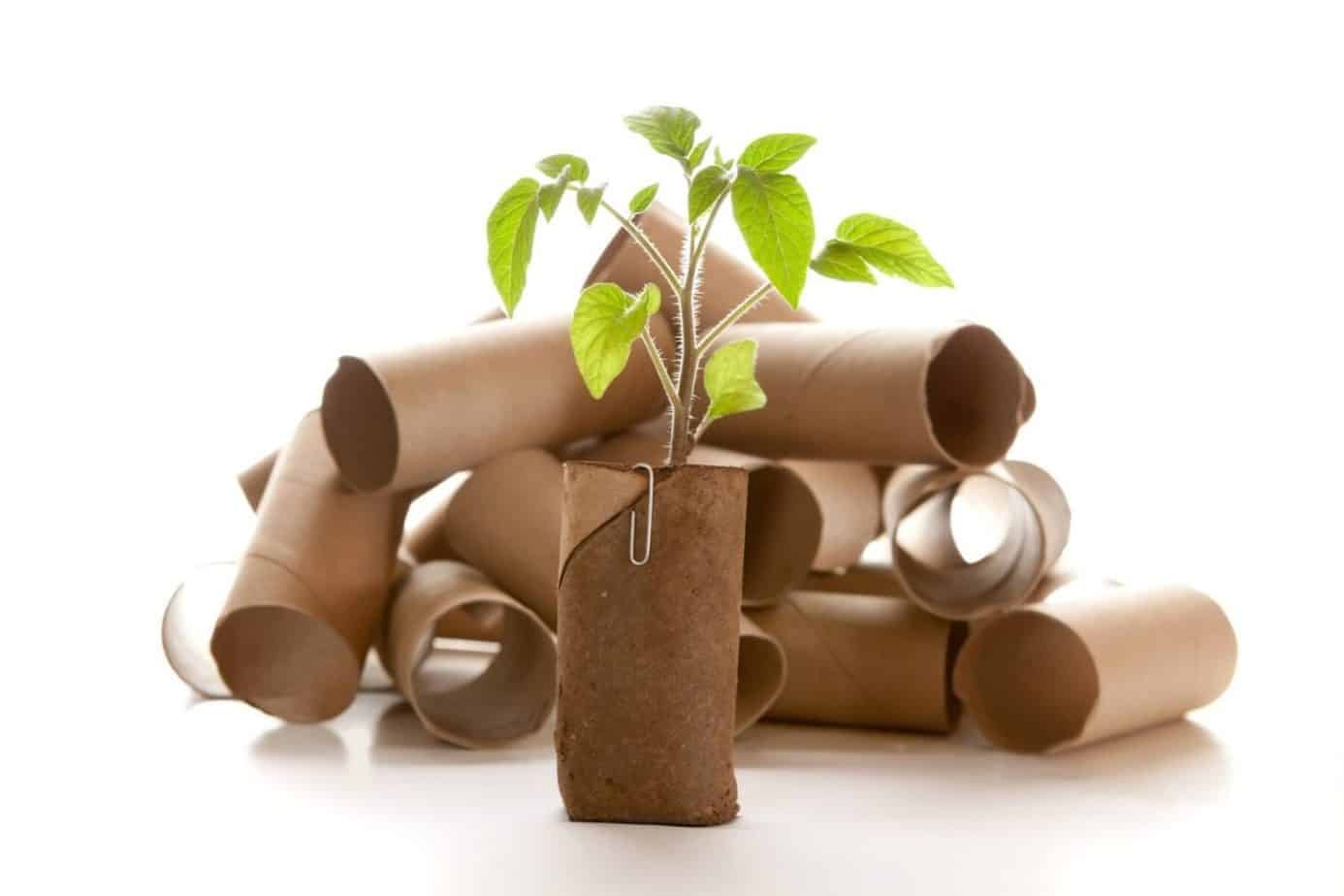 upcycled toilet paper tubes with planter