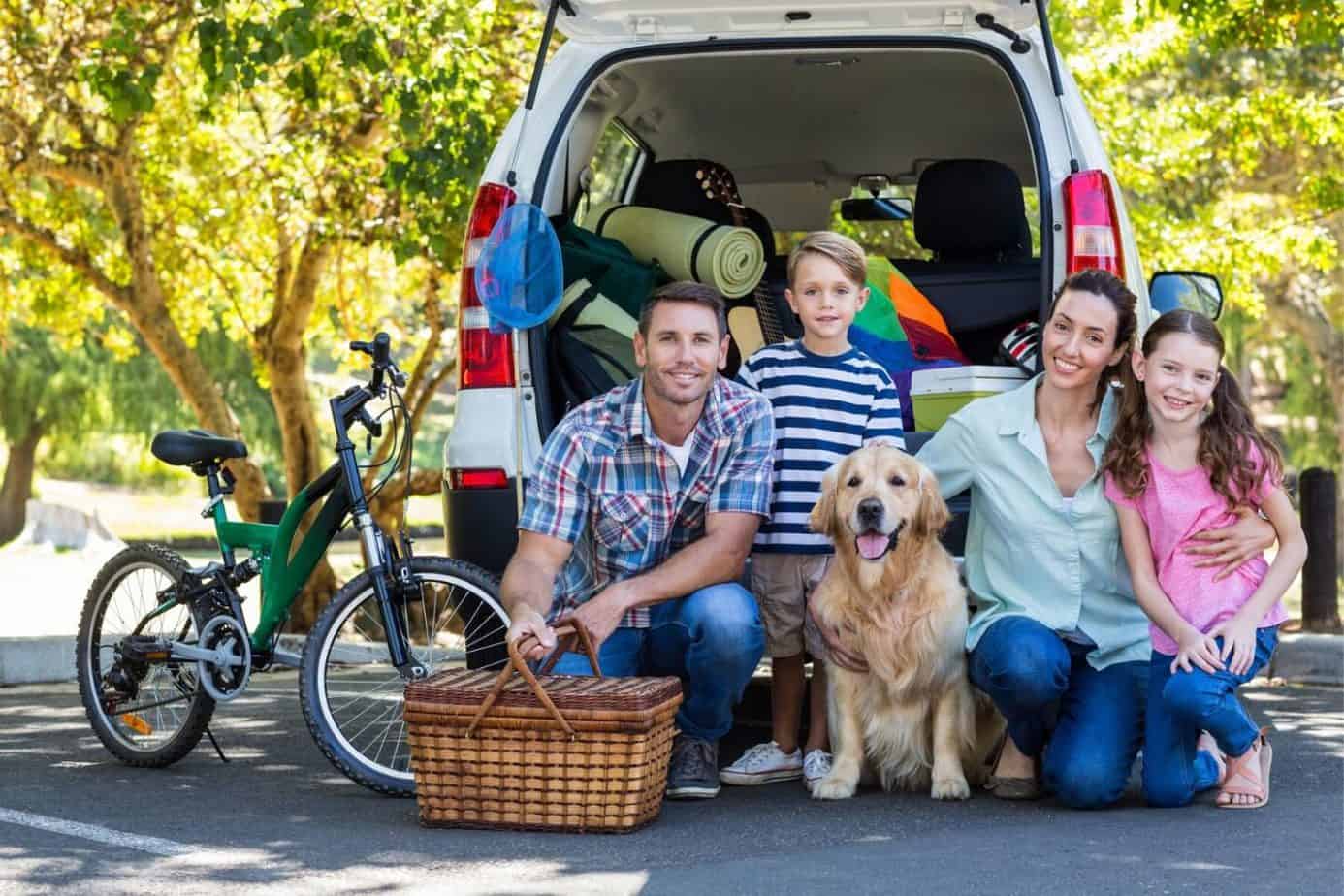 eco-friendly travel and road trip